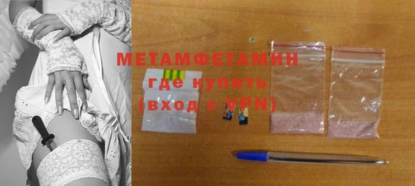 прущие грибы Чекалин