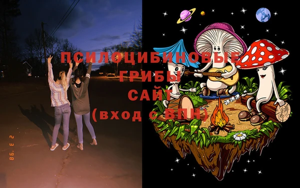 стафф Чердынь