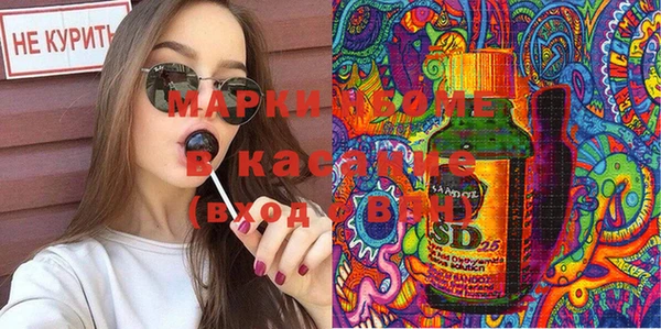 прущие грибы Чекалин