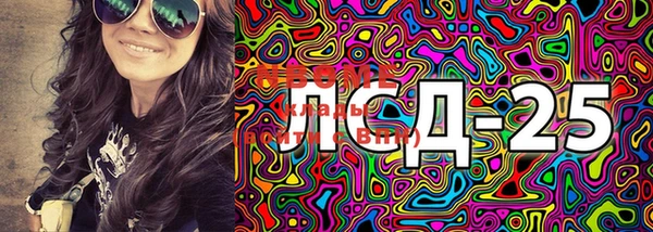 прущие грибы Чекалин