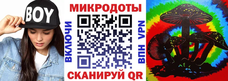 Купить закладки  Алдан  Псилоцибиновые грибы Psilocybe 